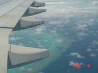 �ӷɻ���󱤽�