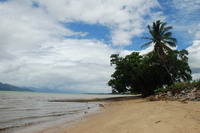 Cardwell��̲