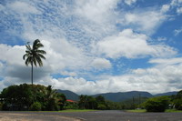 CardwellС��