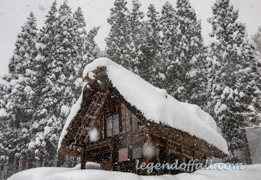 白川乡合掌造