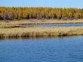 DSC02535