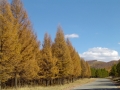 DSC02790