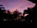 DSC00220