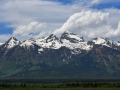 DSC_0709-2