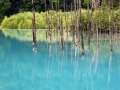 青池