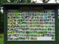 风之花园