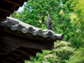 京都青莲院门迹