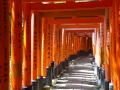 京都伏见稻荷大社的千本鸟居