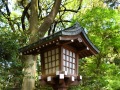 明治神宫