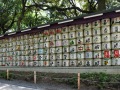 明治神宫