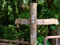 大门坂
