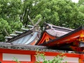 新宫速玉大社