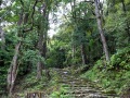 新宫神仓神社