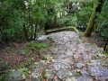 新宫神仓神社
