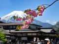 忍野八海