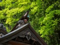 浅见神社