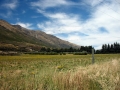 pasture_01.jpg