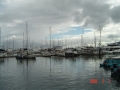 DSC06155.JPG