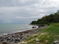 DSC_6986.JPG
