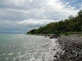 DSC_7006.JPG