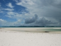 DSC_7884.JPG