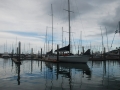 DSC_7927.JPG