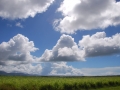 DSC_7966.JPG