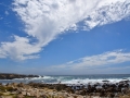 DSC_4702.JPG