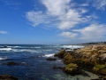 DSC_4767.JPG