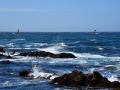 DSC_4777.JPG