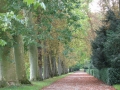 05_Fontainebleau1.jpg