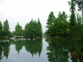 杨公堤
