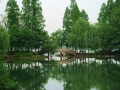杨公堤