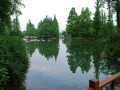 杨公堤