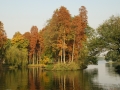 DSC_6301.JPG