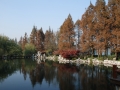 DSC_6308.JPG