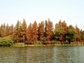 DSC_6487.jpg