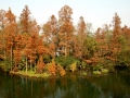 DSC_6496.jpg