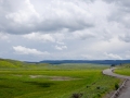 DSC_1971.JPG