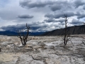 DSC_2173.JPG
