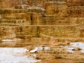 DSC_2554.JPG