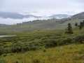 DSC_2791.JPG